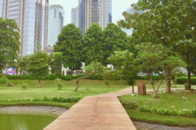 Hutan Kota GBK: 4 Aktivitas Seru & Piknik Gratis!