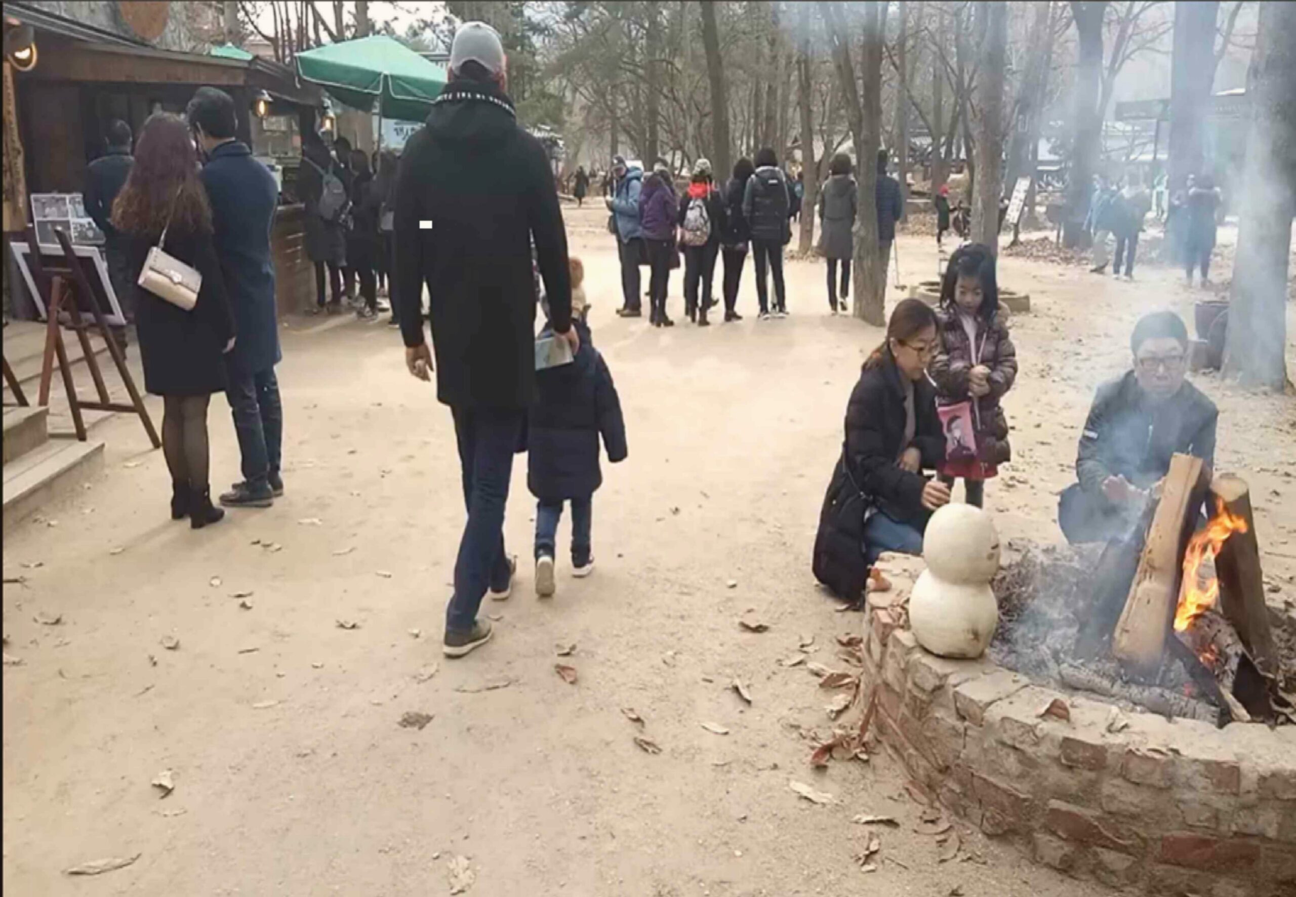 Nami Island: Liburan Romantis, Spot Foto Instagramable & Tips Hemat!
