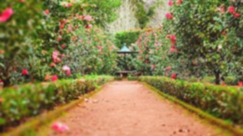 Bogor Gratisan! 7 Tempat Wisata Murah Bikin Rileks