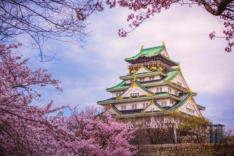 Osaka Castle: Kapan Waktu Terbaik untuk Mengunjungi Ikon Jepang Ini?