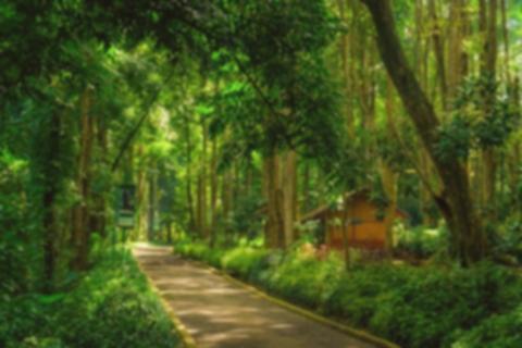 Cianjur Gratisan! 4 Wisata Keluarga Hemat, Liburan Jadi Lebih Asyik
