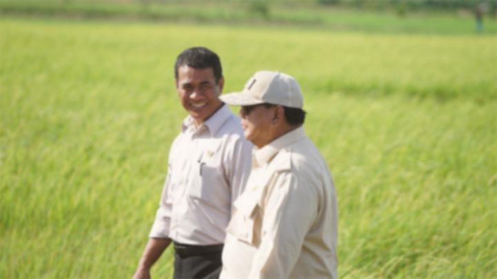 Prabowo Optimis Swasembada Pangan: Klaim Perkembangan Pesat, Mungkinkah?