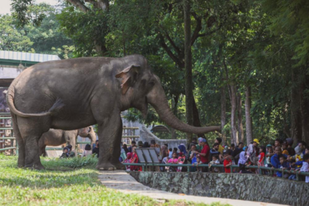 Libur Sekolah di Jakarta: 10+ Tempat Wisata Hits & Seru!
