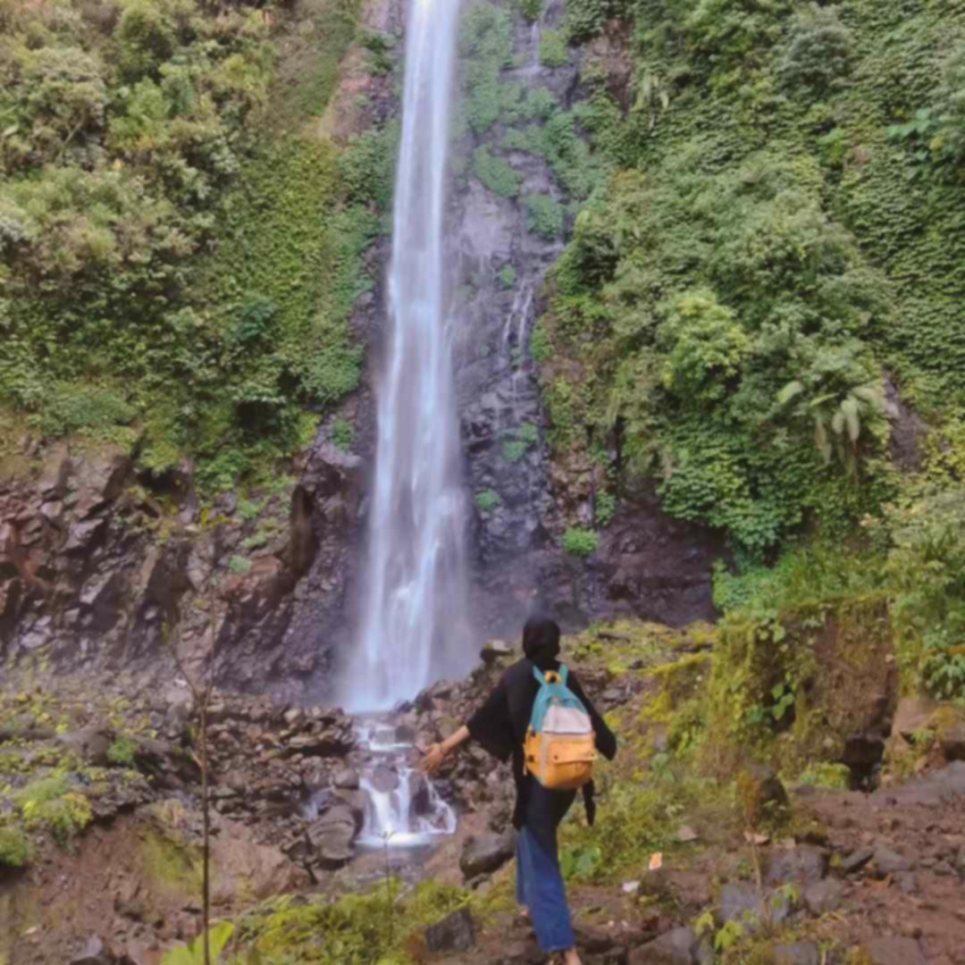 Air Terjun Tancak Argopuro: Pesona Tersembunyi yang Wajib Kamu Jelajahi!