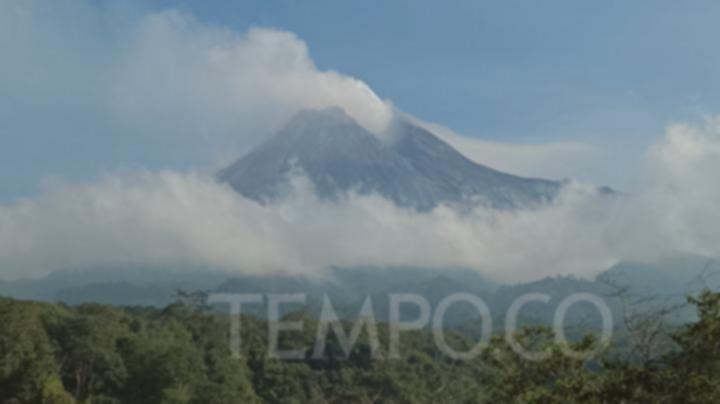 Merapi Membara: Pendaki Nekat Terobos Larangan, Bahaya Mengintai!