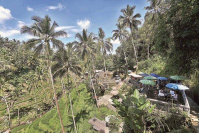 5 Kota Aman & Nyaman untuk Solo Traveling di Indonesia