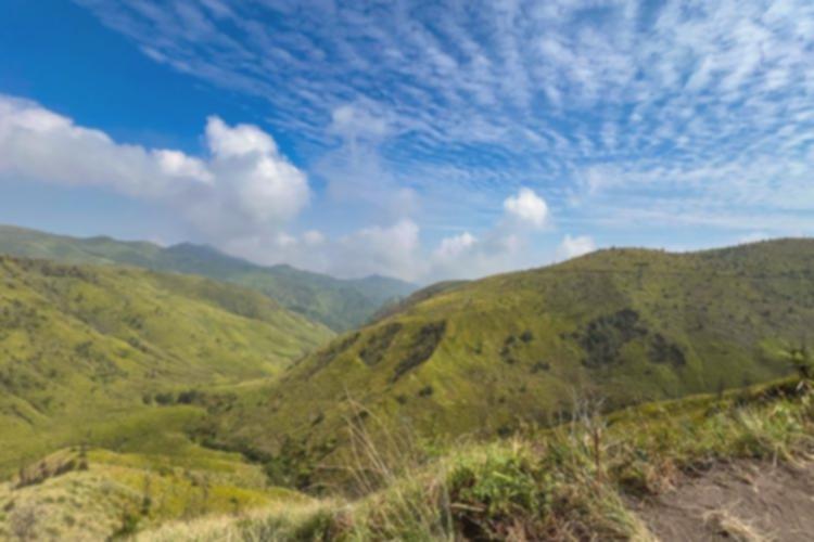 Bukit Premium Pasuruan: Sabana Viral, Panorama Memukau Jawa Timur!