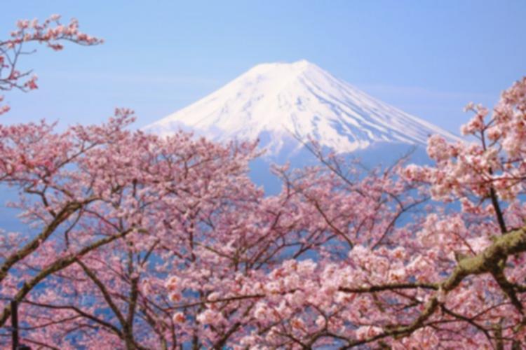 Tokyo Gratis? Ini Cara Terbang Hemat Jelajah Jepang!