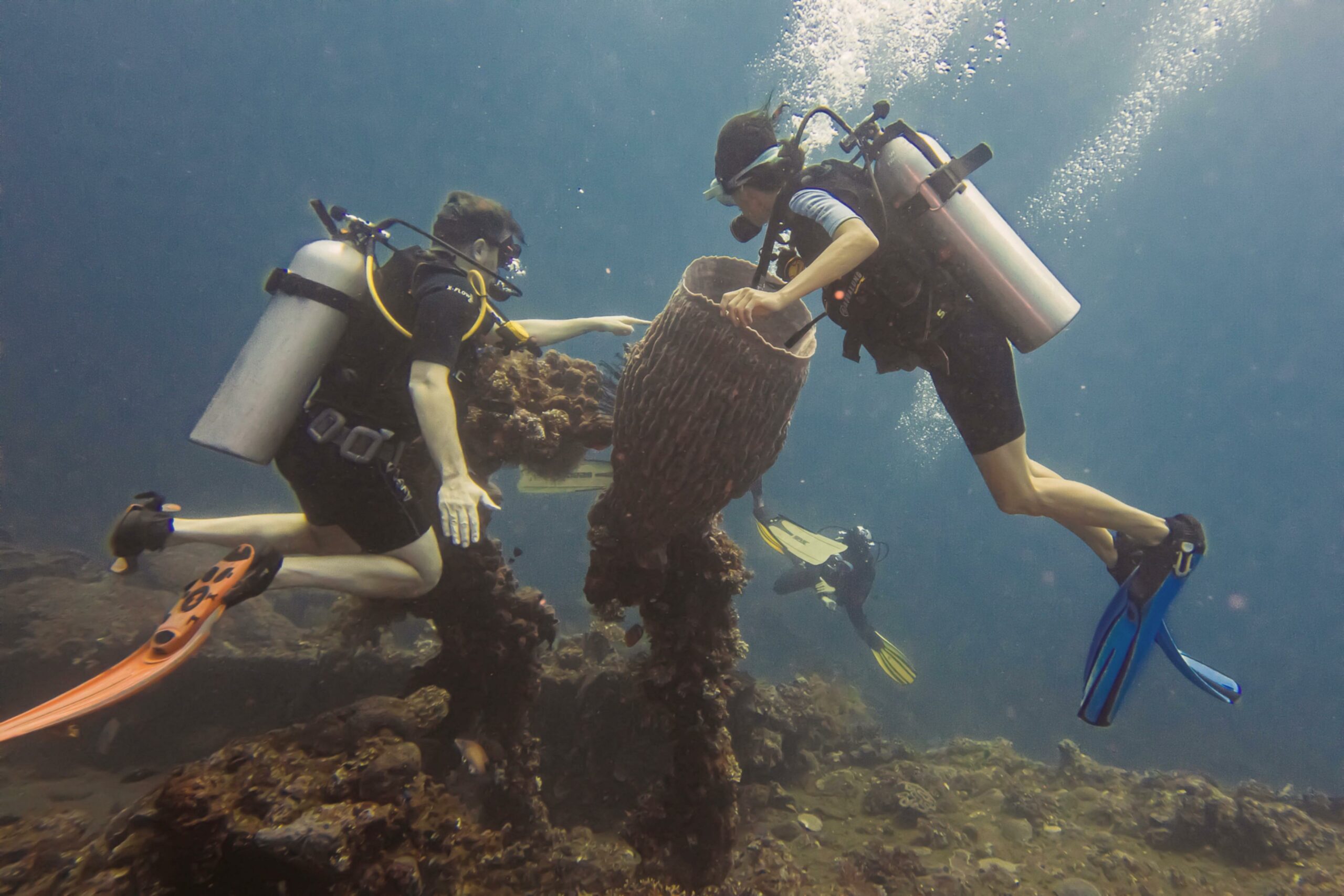 Tulamben Bali: Surga Bawah Laut Tersembunyi, Wajib Dikunjungi!