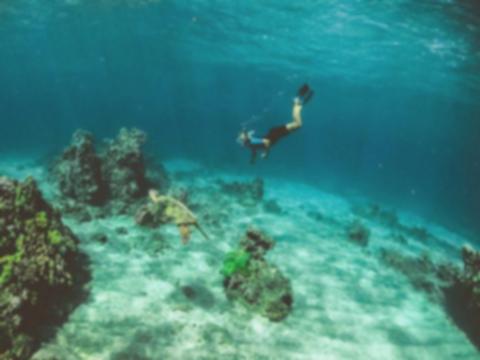 Surga Bawah Laut Bali: 5 Spot Snorkeling Terbaik
