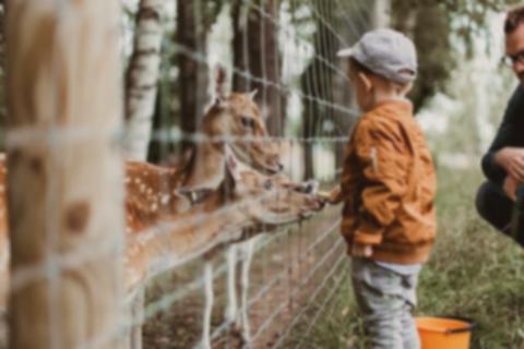 Bali Ramah Anak: 7 Tempat Wisata Seru & Edukatif [2024]