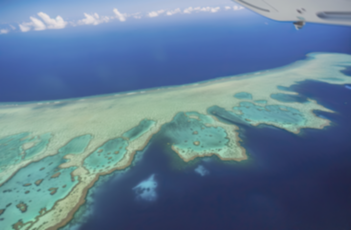 Great Barrier Reef: 5 Fakta Mencengangkan yang Wajib Kamu Tahu!