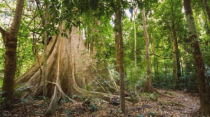Jurassic World: Rebirth Syuting di Thailand? Ini 3 Taman Nasionalnya!