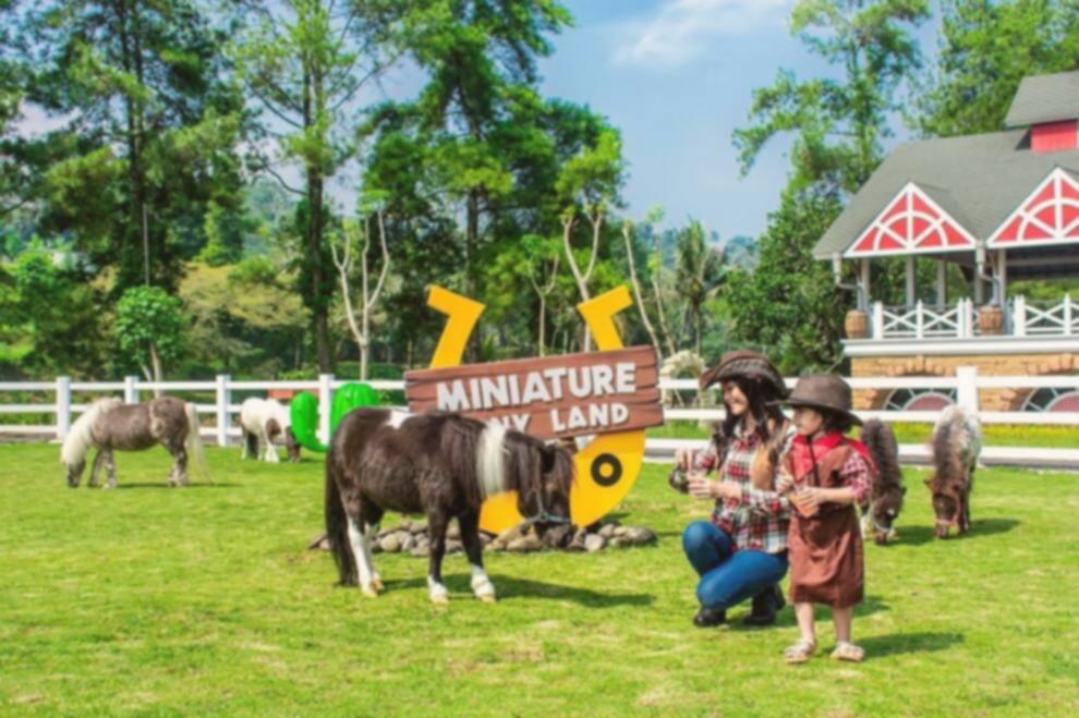 Kuliner Bogor View Bagus: 10 Tempat Makan Terdekat Bikin Nagih!