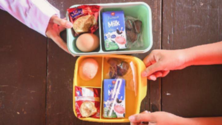 Kementrans Bangun Rumah Produksi Pangan di 11 Kawasan Transmigrasi, Dukung MBG!