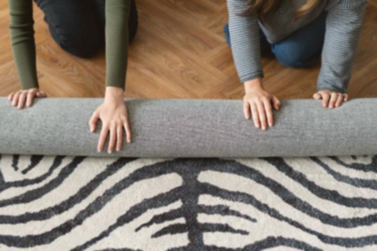Karpet Kinclong! 5 Cara Ampuh Bersihkan Karpet Tanpa Vacuum Cleaner