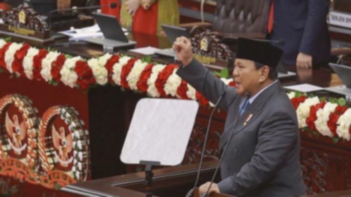 Anggaran Ketahanan Pangan Prabowo 2026 Melonjak: Rp 164,4 T!