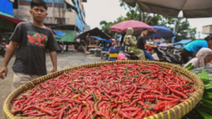 Cabai Merah Keriting Mahal: Ini Biang Kerok Penyebabnya!