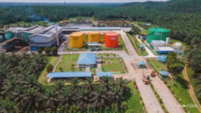 SSMS Kucurkan Rp 600 M ke Afiliasi: Investasi Strategis atau…?