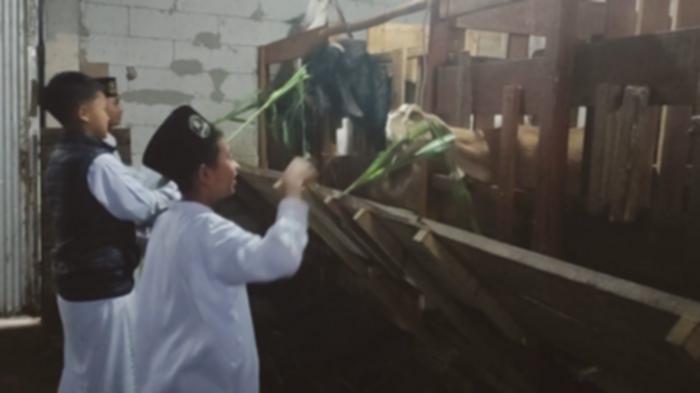 BI Dukung Pesantren MBS Purwokerto: Pertanian & Peternakan Makin Sukses!