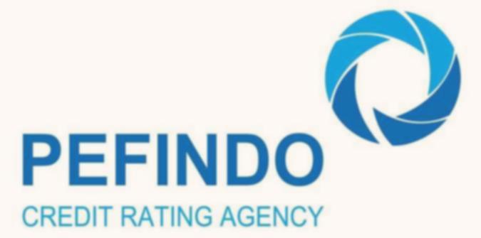 Mandat obligasi korporasi naik di awal tahun capai Rp 71,35 triliun