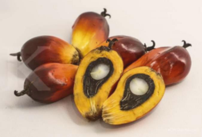 Pemegang saham berubah, ada transaksi jumbo di saham Prime Agri (SGRO) Rp 4,7 triliun